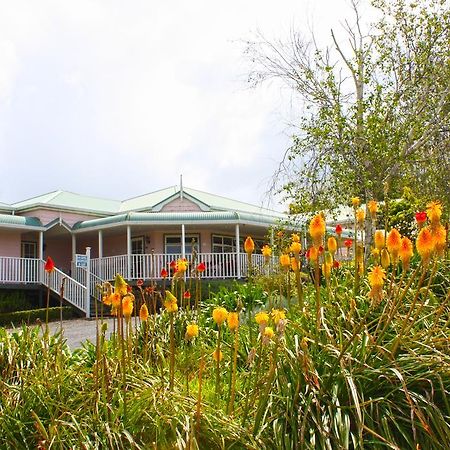 Bed and Breakfast Matakohe House Exteriér fotografie